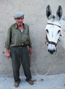 It's impossible to talk to this man about purchasing his mule without giggling.