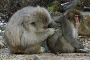 I make this same face when I get scratchy.