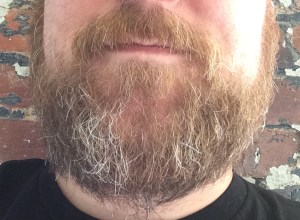 Yeah, those are gray hairs in my beard. What's it to ya? This beard is clean enough to eat off of.... In fact, I often do.